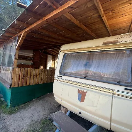 каравана чайка Sozopol