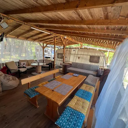 каравана чайка