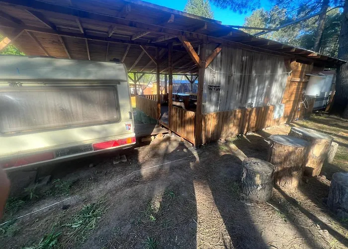 каравана чайка 索佐波尔