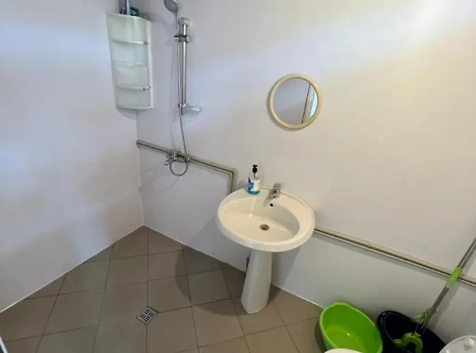 каравана чайка 索佐波尔