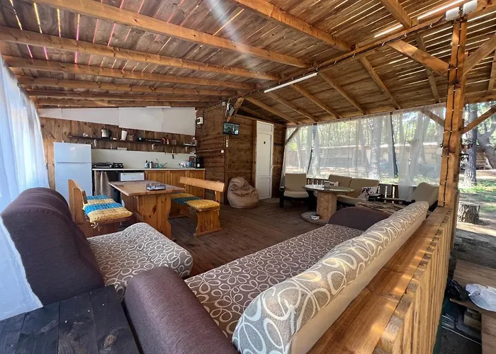 каравана чайка 营地 *